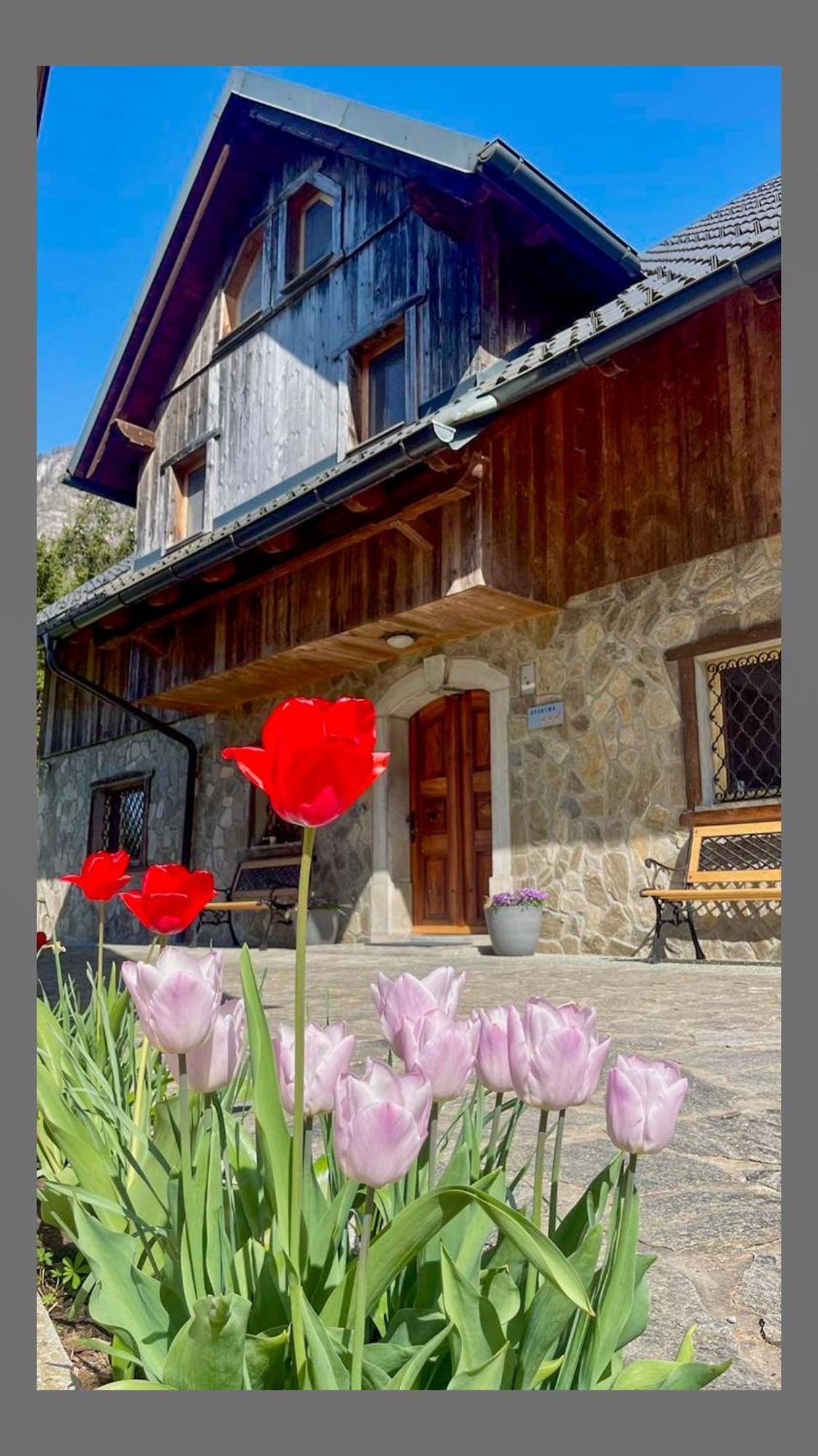 4 Elements Glamping & Apartments Bled Exterior photo
