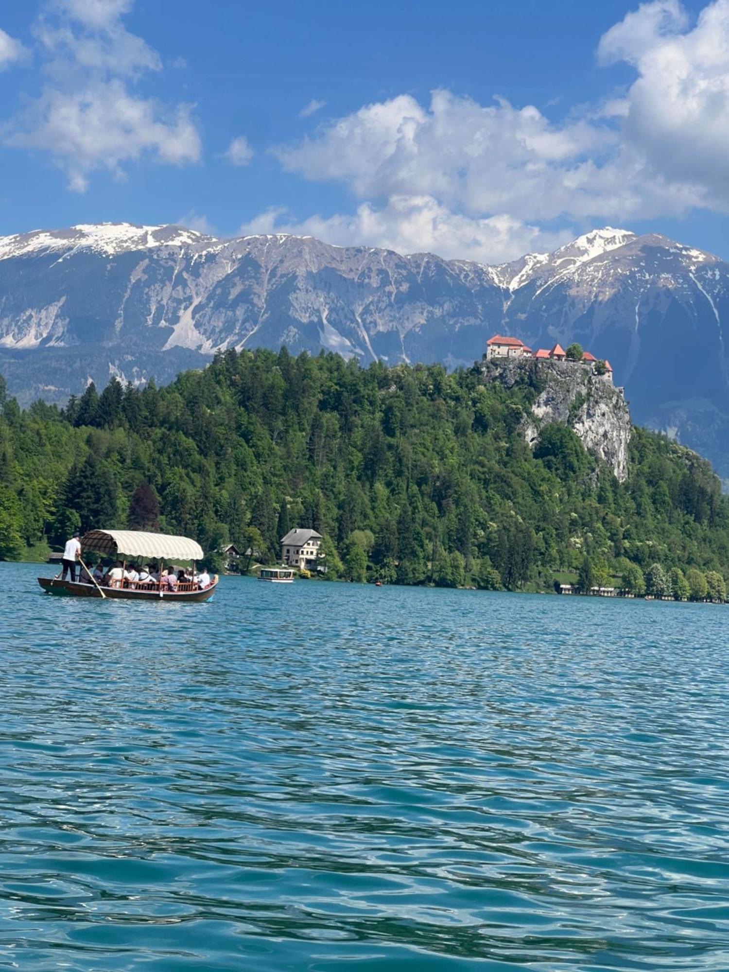 4 Elements Glamping & Apartments Bled Exterior photo